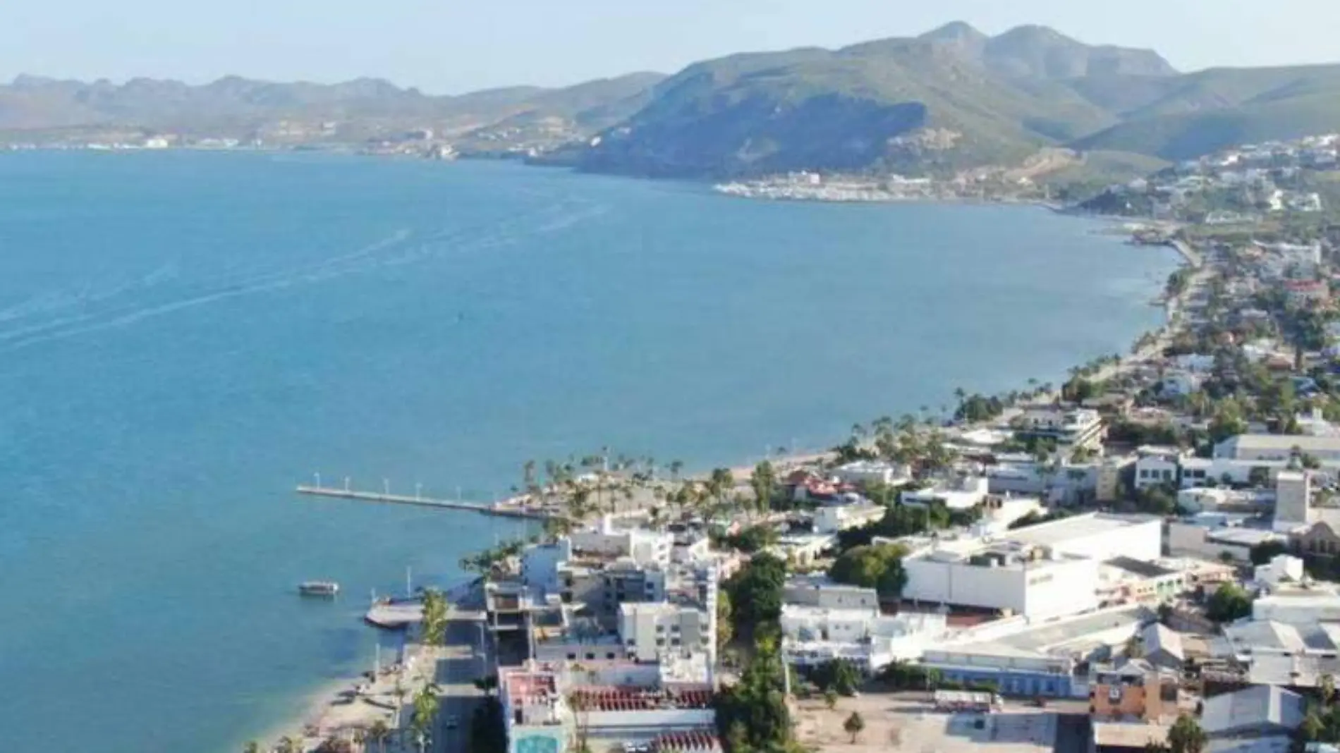 bahía de la paz no esta contaminada